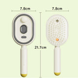 Electric Spray Air Cushion Massage Comb